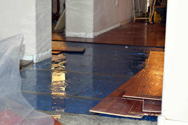 Professional Burst Pipe Cleanup technician working in Prosper, TX